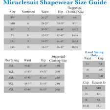 Miraclesuit Shapewear Extra Firm Shape With An Edge Hi Waist