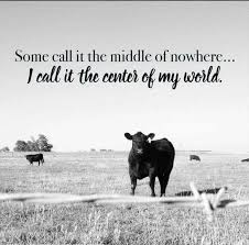 Pin By Holly Randall On Agquotes Country Girl Quotes Cow Quotes Cowboy Quotes Inspirational quotes about personal growth and excellence we'll also give you 10 actionable tips that you can employ to get the best out of your workforce.
