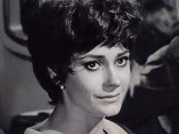 Sun] "The Fool" (1975) Address Book (cover)