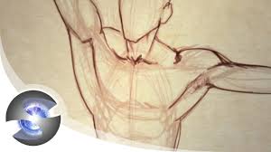 Look for subcutaneous landmarks to figure out where the bones go. How To Draw The Male Torso From The Front Youtube