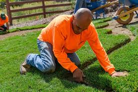 Check spelling or type a new query. Scienturfic Sod Denver Sod Colorado Turf Grass Farm For Lawns
