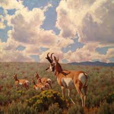 People interested in tucker smith art also searched for. Tucker Smith