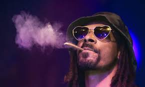 Snoop dogg is an american rapper, singer, songwriter, producer, media personality, entrepreneur, and actor. Snoop Dogg Attacked By Donald Trump Over Lavender Video Snoop Dogg The Guardian