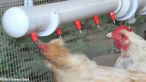 Exemples De Distributeurs Automatiques D Eau Des Systemes Simples Permettant D Abreuver Vos Poules Sur Plusieurs Jours Abreuvoir Poule Poulailler Poule
