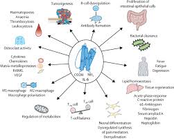 Check spelling or type a new query. Interleukin 6 Obstacles To Targeting A Complex Cytokine In Critical Illness The Lancet Respiratory Medicine