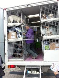 Trockenfutterspenden