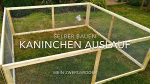 Innengehege selber bauen oder kaufen? Kaninchen Auslauf Selber Bauen Youtube