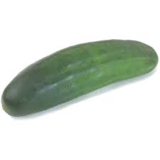 Cucumber