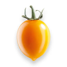 Image result for tomato Datterino