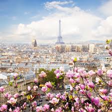 Find photos of eiffel tower. 2048x2048 Eiffel Tower France Flowers Beautiful 4k Ipad Air Hd 4k Wallpapers Images Backgrounds Photos And Pictures