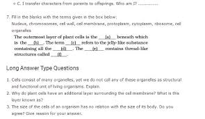 Plant cell wall structure and function pdf. Important Questions For Class 8 Science Chapter 8 Cell Structure And Functions Structure And Function Cell Structure Class 8