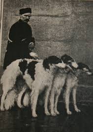 woronzova kennel tambov region russia early 1900s russian wolfhound vintage dog man and dog