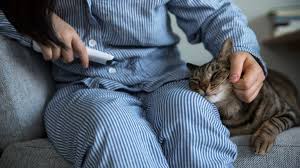 Get daily travel tips & deals! Tune In Drop Out Rest Of World