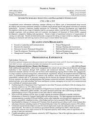 Cto Resume Example Job Resume Examples Sales Resume Examples Professional Resume Samples