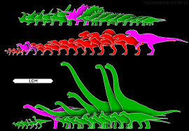 comparative size chart of actual in game models