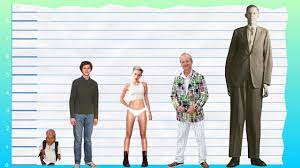 Different insights regarding body estimations are not accessible right now. How Tall Is Michael Cera Height Comparison Youtube
