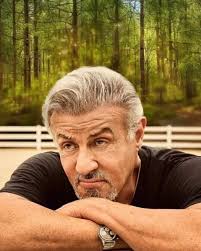 Sylvester Stallone once said: "No matter how much you torment yourself with  guilt, the past won't change. And no matter how much you consume yourself  with anxiety, the future won't be altered.