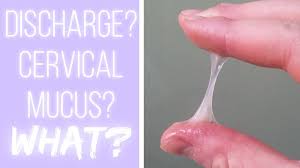 The white, sticky, thick vaginal discharge before your period is mainly a form of mucus which is organically produced from the neck of the. What S Cervical Mucus The Cervical Mucus Project Youtube
