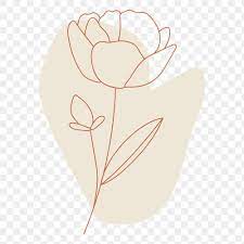 Flower Line Art Transparent Png Premium Image By Rawpixel Com Katie Flower Line Drawings Line Art Flowers Rose Line Art