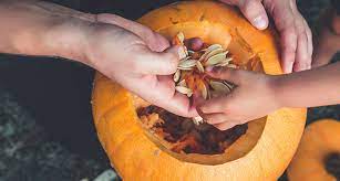 Halloween kurbis schnitzen anleitung gratis vorlagen. Kurbisschnitzen Leicht Gemacht 7 Schnitzvorlagen Fur Halloween Der Blog Der Horrorklinik