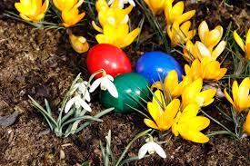 Schaffen sie eine bunte farbenvielfalt, indem sie die eier an verschiedenen stellen im garten aufhängen. Osterdeko Fur Den Garten Tipps Gartendekoration Garten