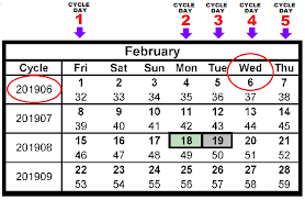 2019 Tax Transcript Cycle Code Charts Refundtalk Com