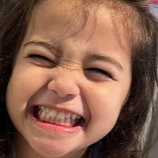 What kind of snake is this in Fernandina Beach Florida