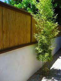 These can be mounted to block unwanted use larger plants in containers that can be moved. 21 Bamboo Fence Ideas For Residential Houses Home Stratosphere