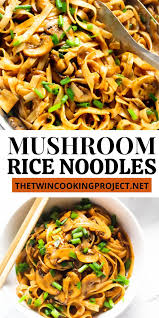 Mushroom And Scallion Rice Noodles The Twin Cooking Project By Sheenam Muskaan Recipe Noodle Recipes Easy Asian Vegetarian Recipes Stuffed Mushrooms