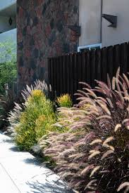 Grasses Rowena Ave Silver Lake C Douglas Hill Silver Laker Grass Street Pavement Sidewalk Apartments Museemagazine Flakphotore Silver Lake Lake Grass