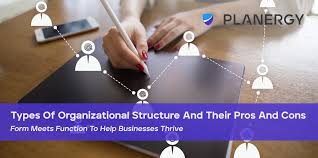 Foreign investors in malaysia can carry out business operations in the country through a branch or a subsidiary or a representative office. Types Of Organizational Structure And Their Pros And Cons Planergy Software