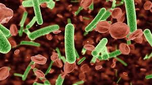 Con toda seguridad podemos decir que el torrente sanguíneo es un mecanismo imprescindible para la supervivencia del cuerpo humano. Identifican Las Infecciones Del Torrente Sanguineo Mas Mortiferas Invdes