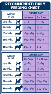 48 Correct Puppy Feeding Chart By Age