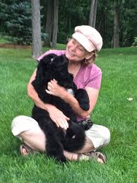 Puppy culture breeders lay the foundation for emotional stability and learning. The Puppy Culture Dvd Early Development In Puppies The Other End Of The Leash