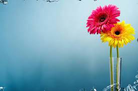 Windows 10 Wallpaper Hd 1920x1080 For Lockscreen Spring Desktop Wallpaper Aesthetic Desktop Wallpaper Free Desktop Wallpaper