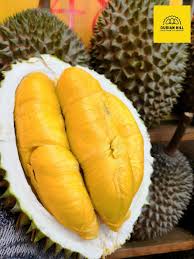 www.durian-hill.com/wp-content/uploads/2020/02/...