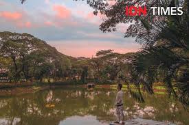 Lidah buaya atau yang dalam nama latinnya disebut dengan aloe vera adalah tanaman yang tumbuh di iklim tropis dengan bentuk menyerupai kaktus. Hore 8 Taman Di Surabaya Buka Sabtu Besok