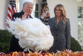 We did not find results for: Trump Pardons Corn And Cob The Thanksgiving Turkeys Reuters Com