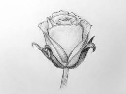 Risultati immagini per fiori disegni a matita fiori disegnati a matita disegni a penna disegno fiori. Disegni Fiori A Matita Coloring And Drawing