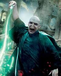 Harry Potter Lord Voldemort Characters Tv Tropes Disables all wordpress shortcodes registered by the active theme. harry potter lord voldemort