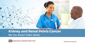 Kidney and renal pelvis cancer is the twelfth leading cause of cancer death in the united states. Kidney And Renal Pelvis Cancer Did You Know Youtube