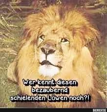 Wer Kennt Diesen Bezaubernd Schielenden Lowen Noch Lustige Bilder Spruche Witze Echt Lustig Kindheitserinnerungen Erinnerungen Kindheit
