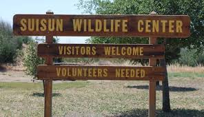 Suisun Wildlife Rescue Center Wildlife Wildlife Rehabilitation Suisun City