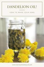 How To Make Your Own Dandelion Oil Infusion Dandelion Oil Food Garden Herbalism