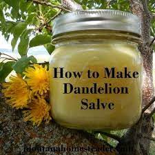 Homemade Remedies For Various Health And Beauty Treatments Our Home Sweet Home Herbalism Salve Recipes Herbs