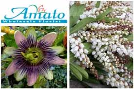 Amato's wholesale florists is located in denver city of colorado state. Suppliers For Floral Designers Flirty Fleurs The Florist Blog Inspiration For Floral Designers