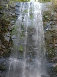 Archivo Salto Colmena Milenaria San Jose Provincia De Misiones Argentina Jpg Wikipedia La Enciclopedia Libre