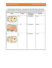 Read free dihybrid cross answer key Amoeba Sisters Mono Dihybrid Crosses Docx Amoeba Sisters Video Recap Monohybrid Crosses Mendelian Amoeba Sisters Video Recap Monohybrid Course Hero