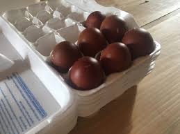 Hatching Eggs By Mail Wheaton Farm Homesteading