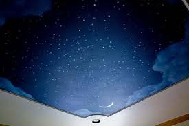 Night Sky Wallpaper For Ceiling 21 Dzbc Org Wall Murals Bedroom Ceiling Murals Wall Murals